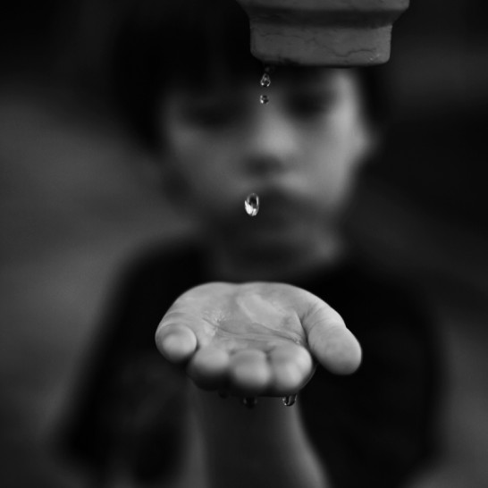 Image of 