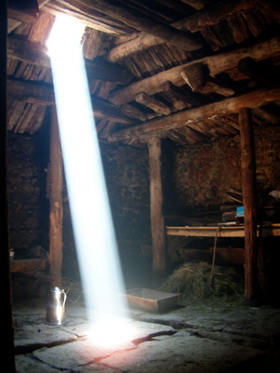 Image of 