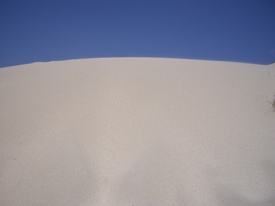 Image of 