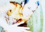 Image of 