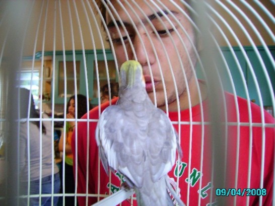 Image of 