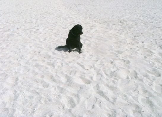 Image of 