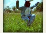 Image of 