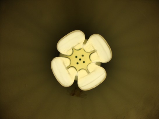 Image of 