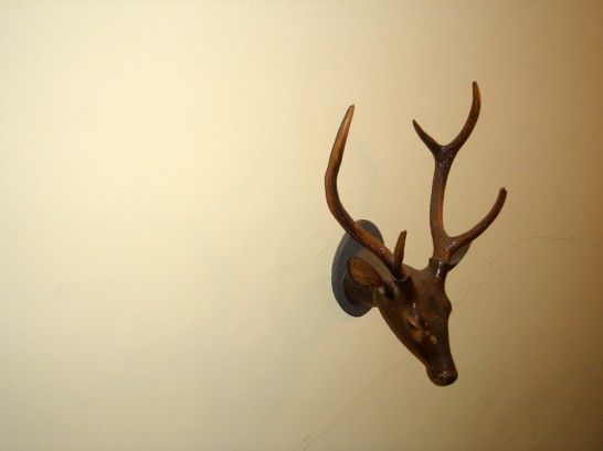 Image of 