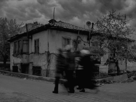 Image of 