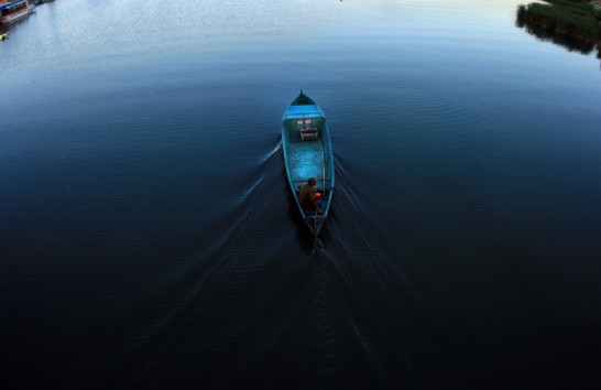 Image of 