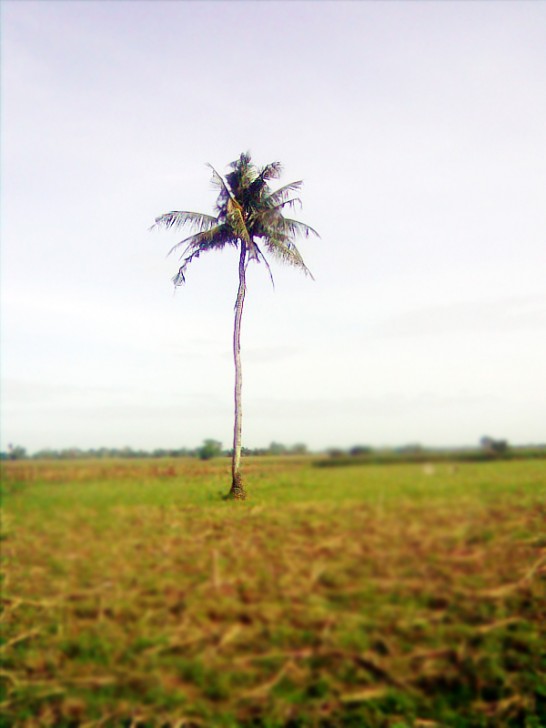 Image of 