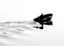 Image of 
