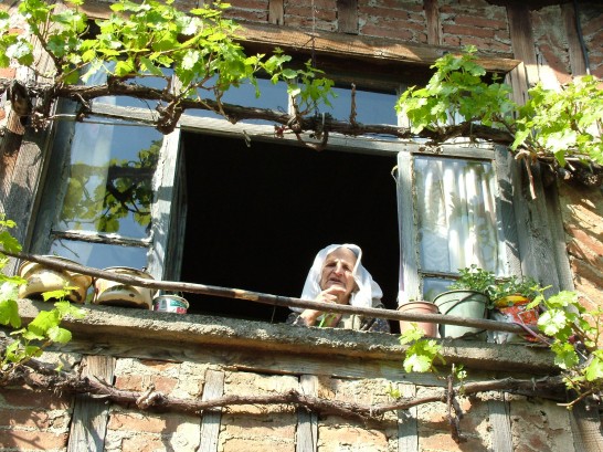 Image of 