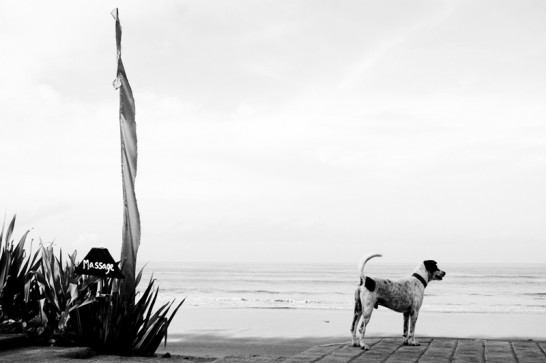 Image of 