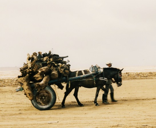 Image of 