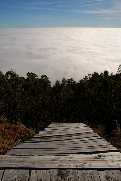 Image of 