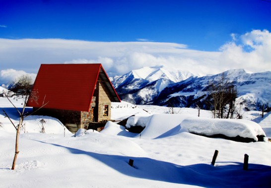 Image of 