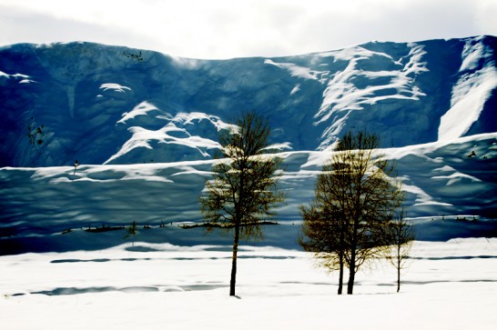 Image of 