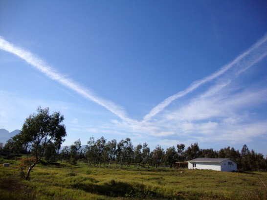 Image of 