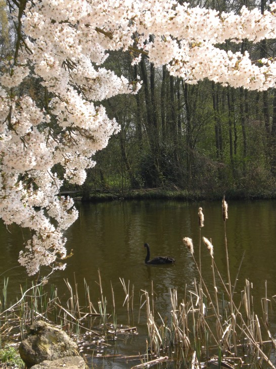 Image of 